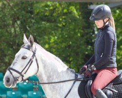 Springpferd Natascha Vdv (Zangersheide Reitpferd, 2016, von Napels)