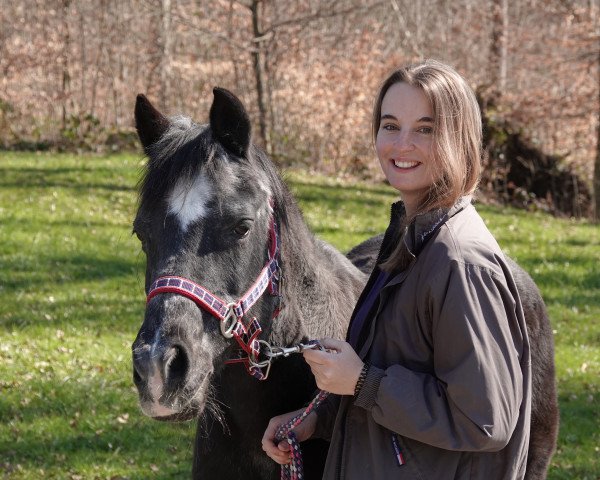 Pferd Nice to see (Deutsches Reitpony, 1991, von Nanduc)