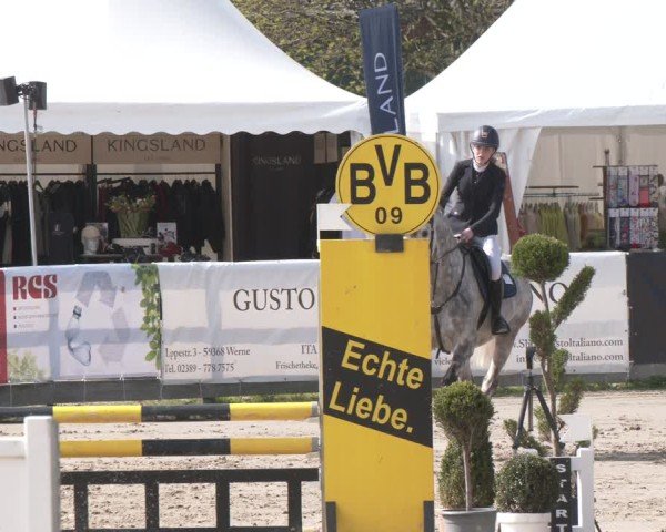 Lenklarer Reitertage Werne 2025