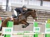 Springpferd Klarina H (Westfale, 2016, von Kannan)