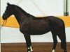 broodmare Ebony Art (Hanoverian, 2007, from Espri)