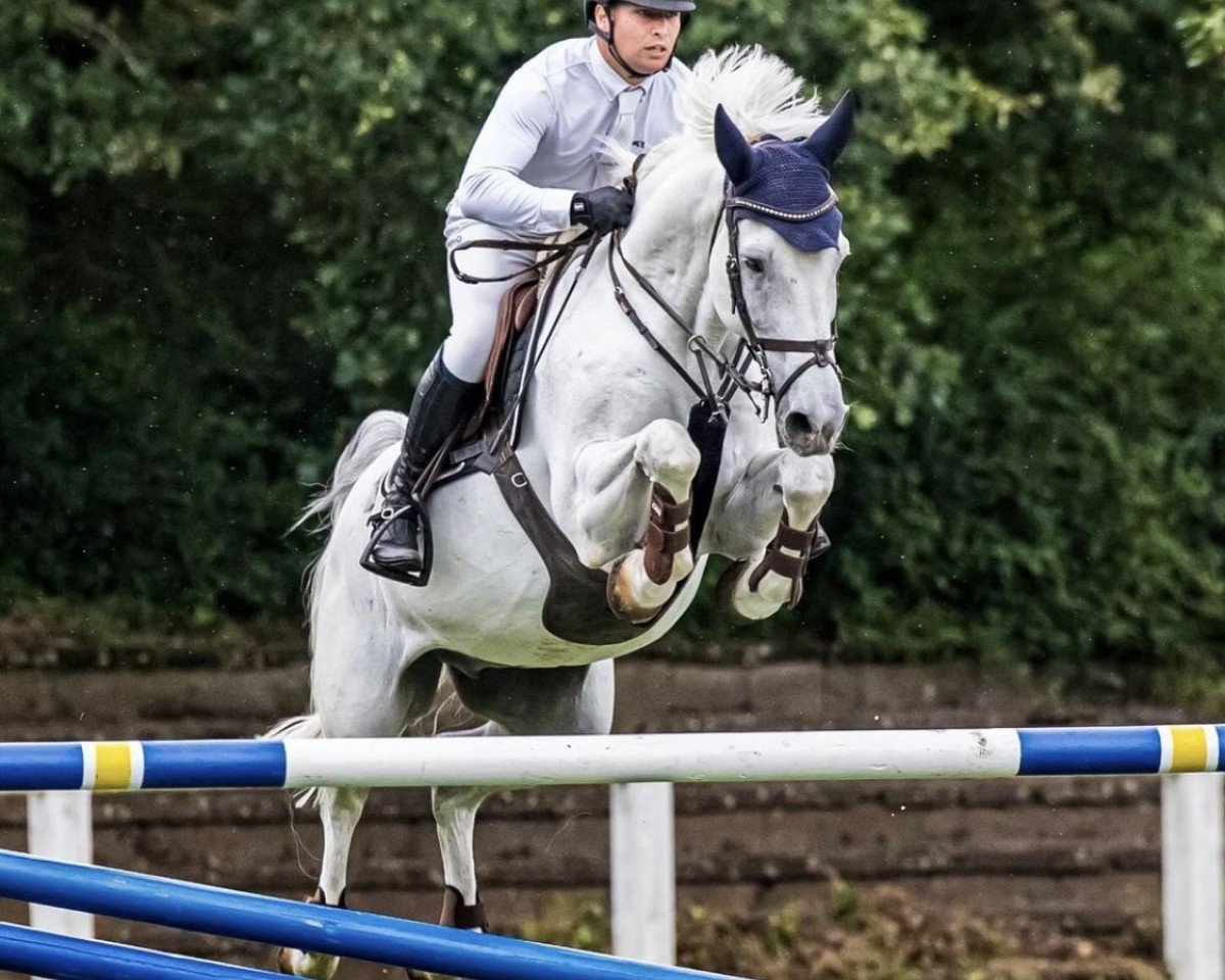 jumper Cascadeur 102 (Holsteiner, 2010, from Calazio 170 FIN)