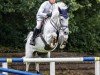 jumper Cascadeur 102 (Holsteiner, 2010, from Calazio 170 FIN)