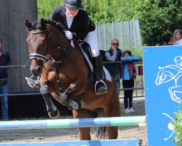 Springpferd Mrs Bonita (unbekannt, 2016, von Little Jokers Joe)