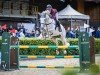 jumper Col's Mailo W CH (Swiss Warmblood, 2017, from Col's Cornet W)