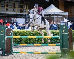 Springpferd Col's Mailo W CH (Schweizer Warmblut, 2017, von Col's Cornet W)