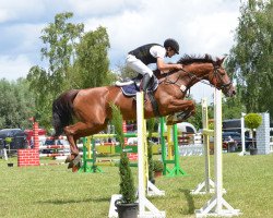 jumper Lynn 39 (Hanoverian, 2011, from L-Vainqueur)