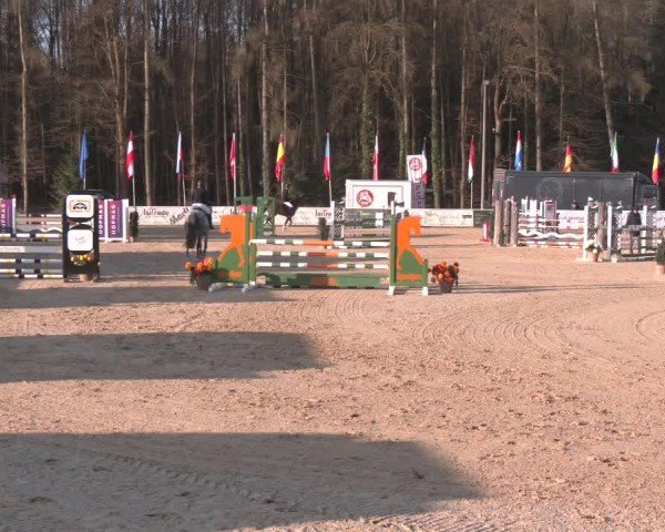 Reitturnier Ranshofen - Braunau am Inn 2025