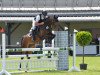 jumper Contess 62 (anglo european sporthorse, 2015, from Neos 2)