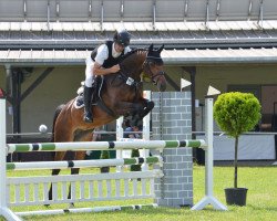 jumper Contess 62 (anglo european sporthorse, 2015, from Neos 2)