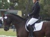 jumper Quidam de Lagune (Hanoverian, 2010, from Quality 9)