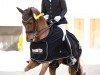 dressage horse Little P (Westphalian, 2018, from Libertad FRH)