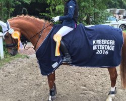 dressage horse Valderano (German Riding Pony, 2003, from Voltaire)