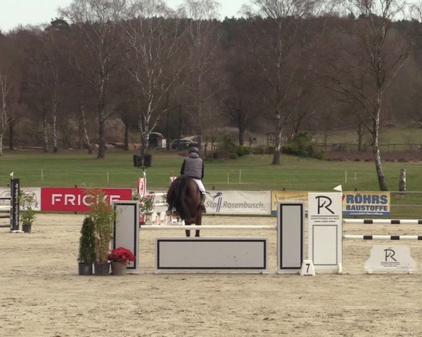 Reitturnier Westergellersen 2025