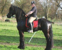 horse Zorro (Friese, 2007, from Onne 376)