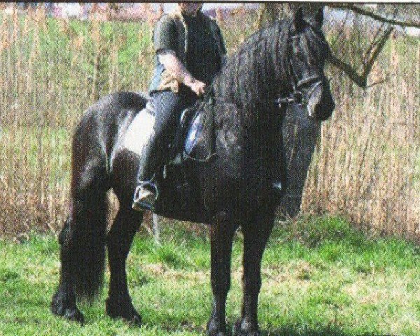 horse Wobbe (Friese, 2007, from Tietse 428)