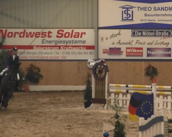 8. Springfestival Werlte