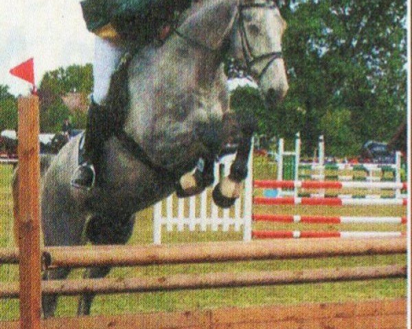 horse Prior 20 (Oldenburg, 1998, from Prinz Oldenburg)