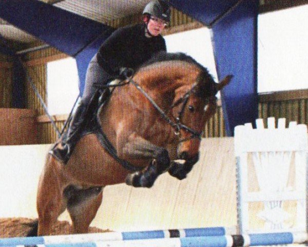 horse Cera (Oldenburg, 2000, from Atego)