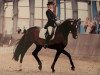 dressage horse Scarlett Garcia (Westphalian, 2003, from Sir Bedo)