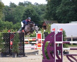 jumper Cajou 21 (Westphalian, 2018, from Cascadello)