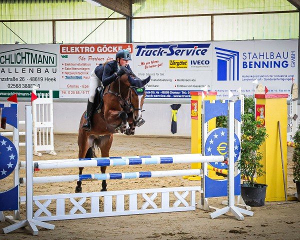 Springpferd Cantus AV (Westfale, 2020, von Chacco's Son II)