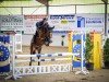 jumper Cantus AV (Westphalian, 2020, from Chacco's Son II)
