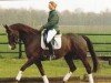 Springpferd Wum TK (Westfale, 1999, von Weinzauber)