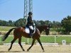 dressage horse Kann' nix (Westphalian, 2019, from Karajan)