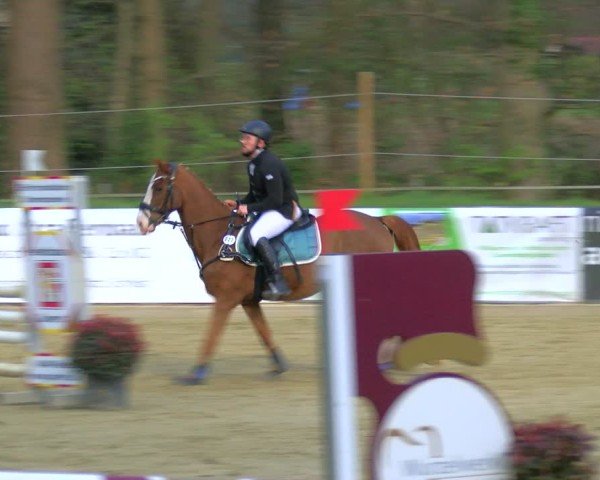 Reitturnier Rhede 2025