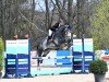 jumper Mission Impossible D (Hanoverian, 2020, from Mumbai)