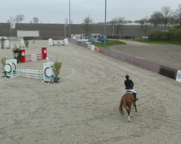 Reitturnier Harsum-Hüddessum 2025