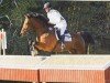 Pferd Passier 3 (Holsteiner, 2001, von Parco xx)