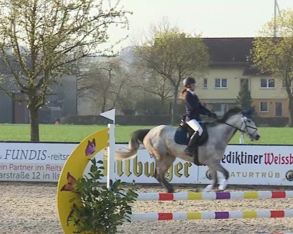 Reitturnier Rot am See- Musdorf 2025