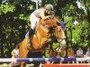 jumper Lupus 104 (Holsteiner, 1997, from Lennon)
