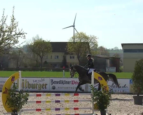 Reitturnier Rot am See- Musdorf 2025
