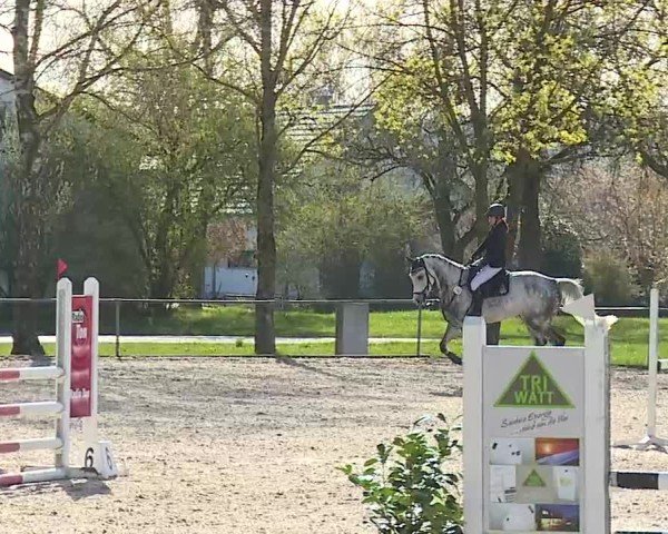 Reitturnier Rot am See- Musdorf 2025