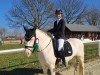 dressage horse Optimus Prime 5 (German Riding Pony, 2014, from Okawango Alpha)