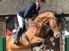 jumper Egon von Redentin (Hanoverian, 2019, from Cornaro 4)