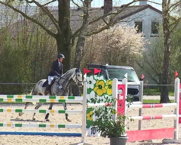 Reitturnier Rot am See- Musdorf 2025