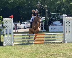 Springpferd Je suis Chanceux (Irish Sport Horse, 2013, von Je suis Francais)