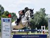 jumper Championess (German Warmblood, 2012, from Coreggio)