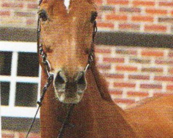 horse Lavantos (Oldenburg, 1997, from Landsieger I)