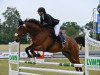 jumper Levigno 5 (German Sport Horse, 2007, from Lehnbach)