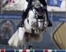 Springpferd King van de Toogwijk (KWPN (Niederländisches Warmblut), 2015, von Triomphe de Muze)