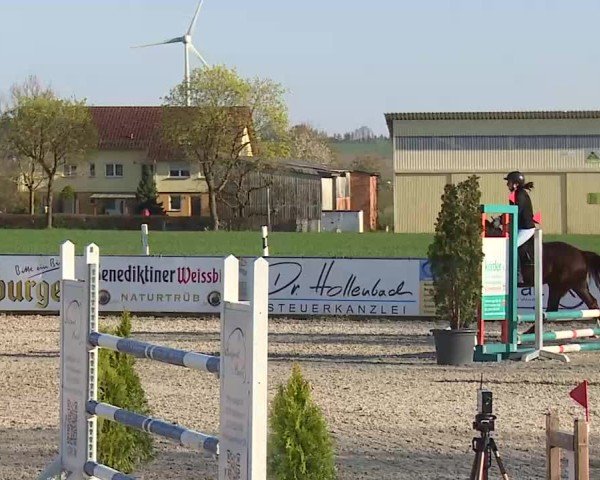 Reitturnier Rot am See- Musdorf 2025