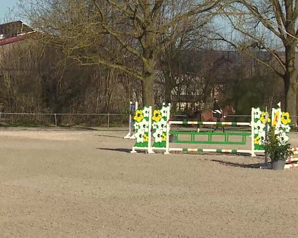 Reitturnier Rot am See- Musdorf 2025