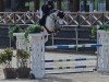 jumper Grey Leo HGH (Hanoverian, 2017, from Grey Top)