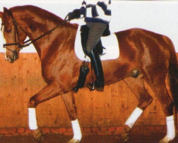 dressage horse Lobert (Oldenburg, 2006, from Luxano)