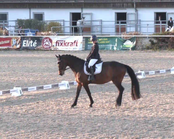 Reitturnier Margarethen am Moos 2025